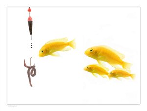 新人学社会责任最需要掌握的内容